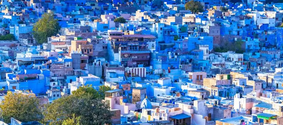 Jodhpur Blue City and Desert Majesty